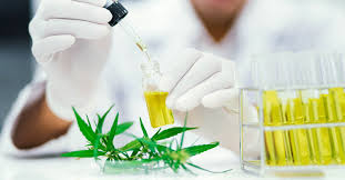 Cannabis Testing and Analysis: A Growing Industry